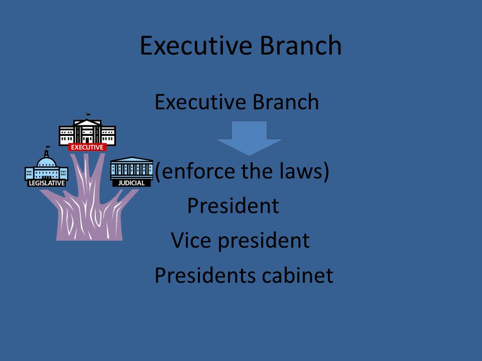 Executive Branch (enforce the laws) President Vice president Presidents cabinet
