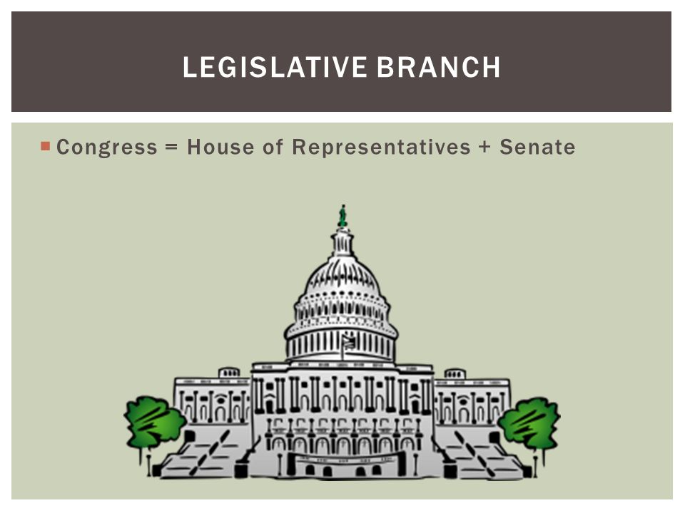  Congress = House of Representatives + Senate LEGISLATIVE BRANCH