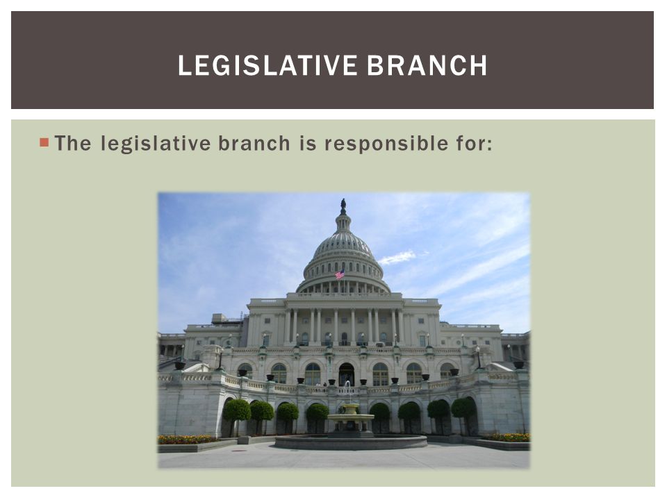  The legislative branch is responsible for: