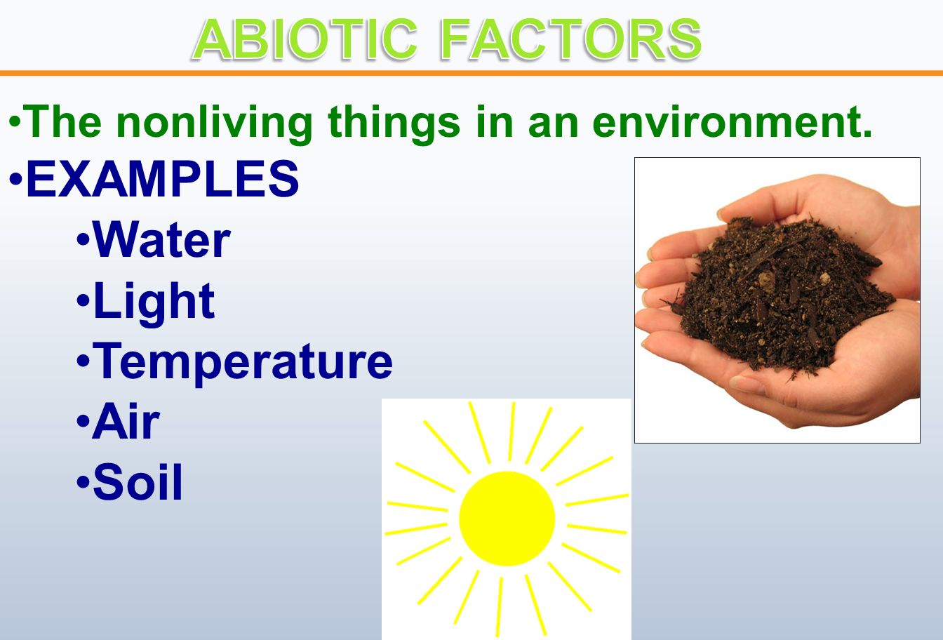 The nonliving things in an environment. EXAMPLES Water Light Temperature Air Soil