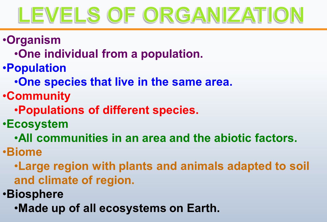 Organism One individual from a population. Population One species that live in the same area.