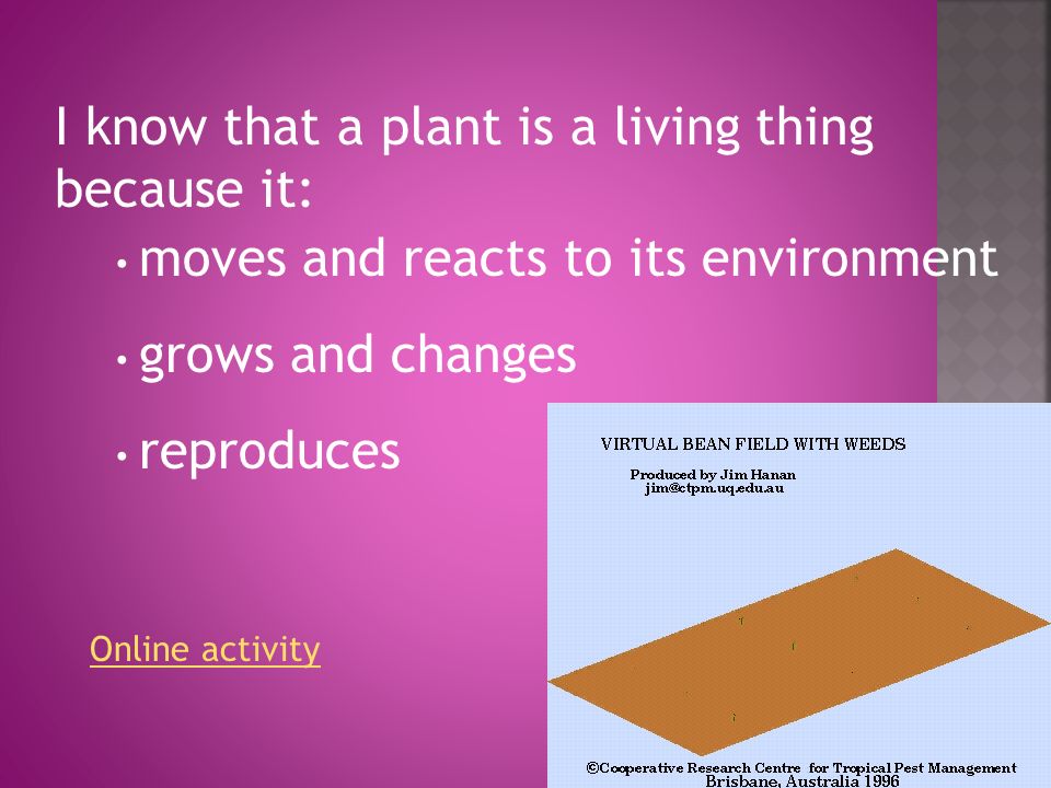 I know that a plant is a living thing because it: moves and reacts to its environment grows and changes reproduces Online activity
