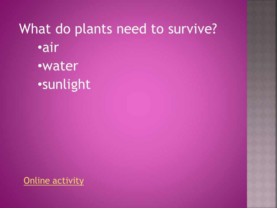 What do plants need to survive air water sunlight Online activity