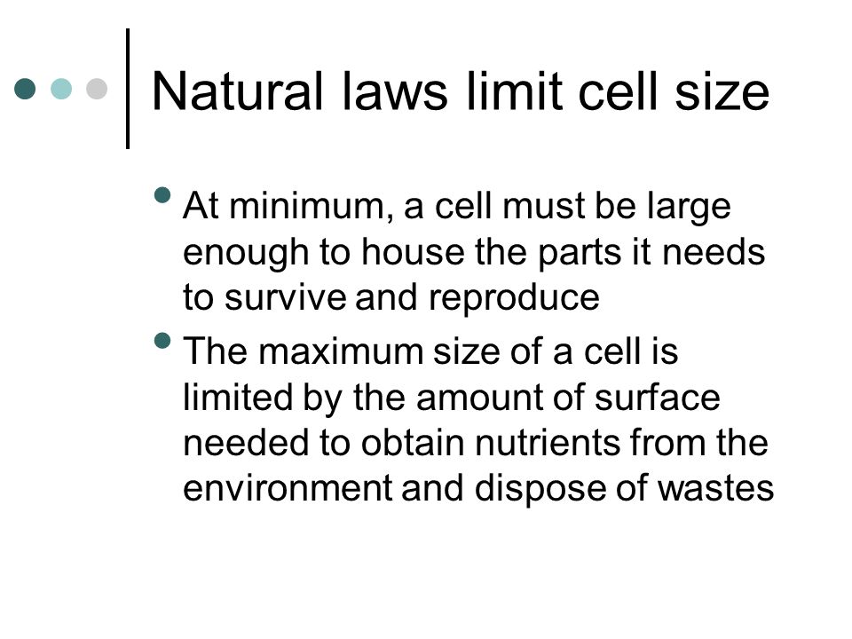 cell theory chapter 6 ib biology most cells are too small to see the maximum size of a cell is limited by