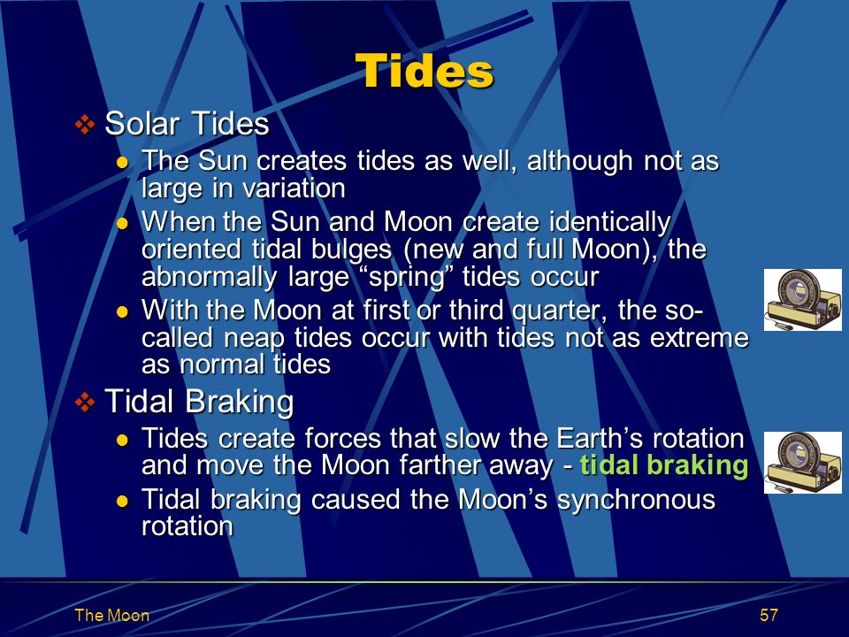 The Moon57 Tides  Solar Tides The Sun creates tides as well, although not as large in variation The Sun creates tides as well, although not as large in variation When the Sun and Moon create identically oriented tidal bulges (new and full Moon), the abnormally large spring tides occur When the Sun and Moon create identically oriented tidal bulges (new and full Moon), the abnormally large spring tides occur With the Moon at first or third quarter, the so- called neap tides occur with tides not as extreme as normal tides With the Moon at first or third quarter, the so- called neap tides occur with tides not as extreme as normal tides  Tidal Braking Tides create forces that slow the Earth’s rotation and move the Moon farther away - tidal braking Tides create forces that slow the Earth’s rotation and move the Moon farther away - tidal braking Tidal braking caused the Moon’s synchronous rotation Tidal braking caused the Moon’s synchronous rotation