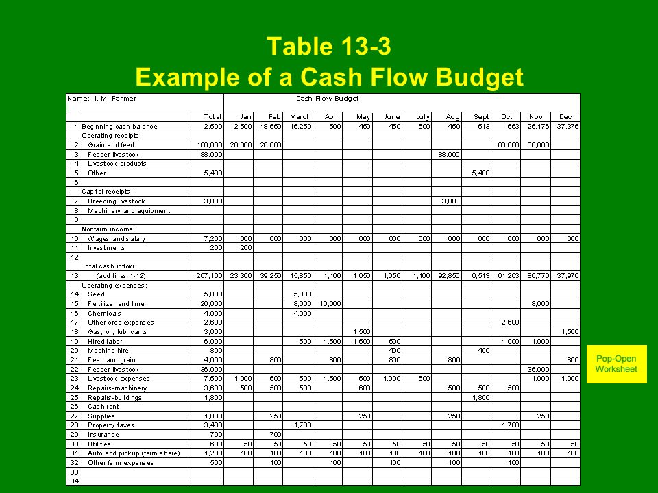 cash flow budget example