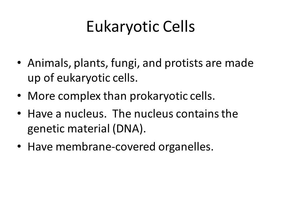 Eukaryotic Cells Animals, plants, fungi, and protists are made up of eukaryotic cells.