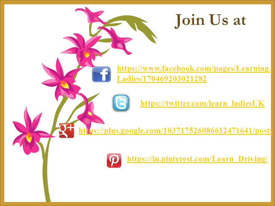 Join Us at   Ladies/