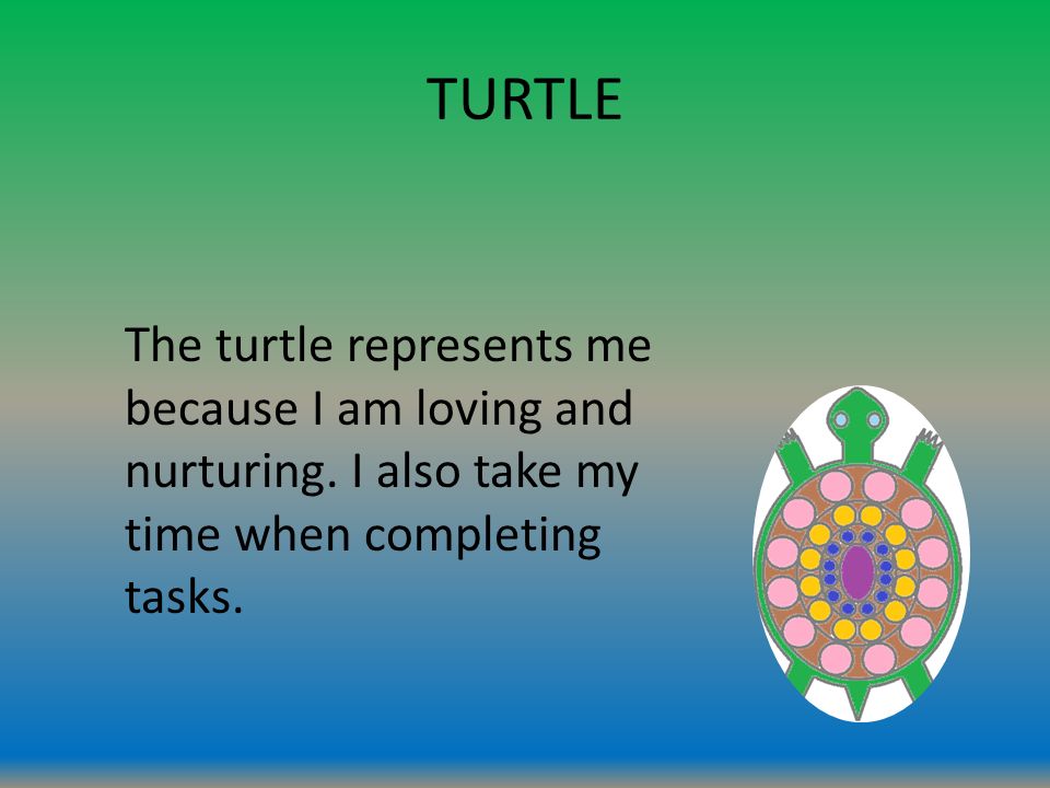 TURTLE The turtle represents me because I am loving and nurturing.
