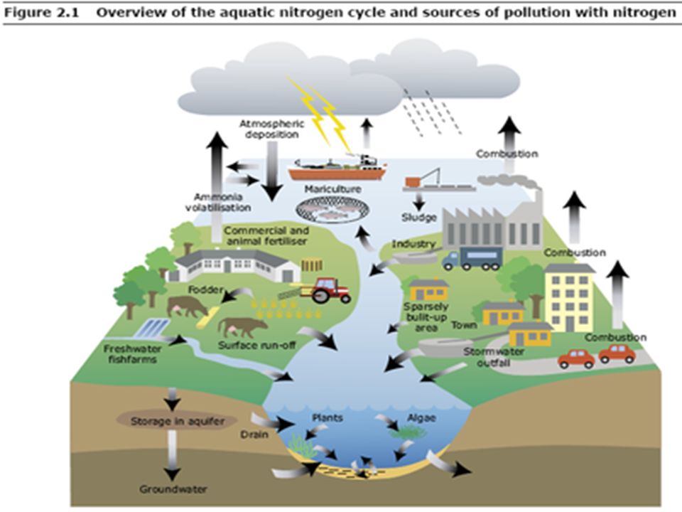 essay on impact of industries on environment Essay on positive and negative impact of industrialization in india and large-scale industries have negative impact which adversely affects the environment. essay on impact of industries on environment Essay on positive and negative impact of industrialization in india and large-scale industries have negative impact which adversely affects the environment.