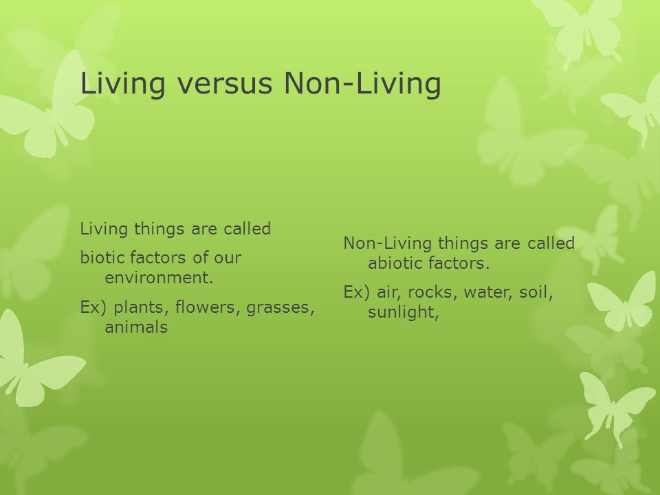 living and nonliving factors that contribute to energy conservation What are nonliving and living factors that contribute to or are affected by atmospheric pollution contribute to or are affected by energy conservation. living and nonliving factors that contribute to energy conservation What are nonliving and living factors that contribute to or are affected by atmospheric pollution contribute to or are affected by energy conservation.