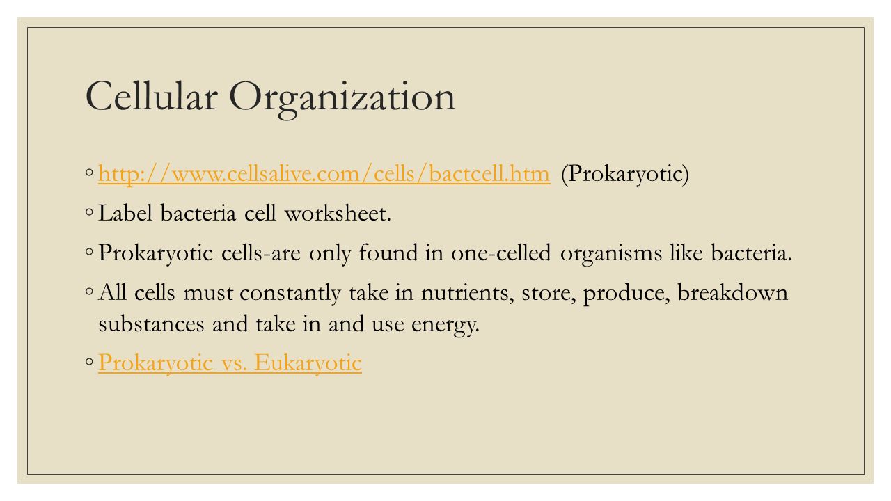 worksheet Cells Alive Bacterial Cell Worksheet cell structure 7 th grade do organelles nucleus 6 cellular organization