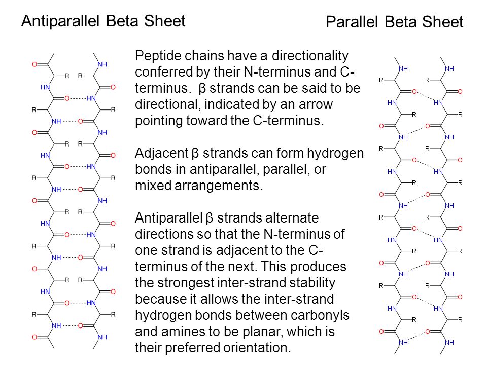 protein structure ist 444 protein chemistry basics proteins are parallel vs antiparallel beta sheet