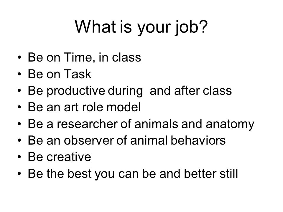 What is your job.
