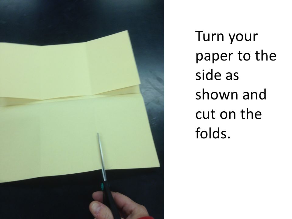 Turn your paper to the side as shown and cut on the folds.