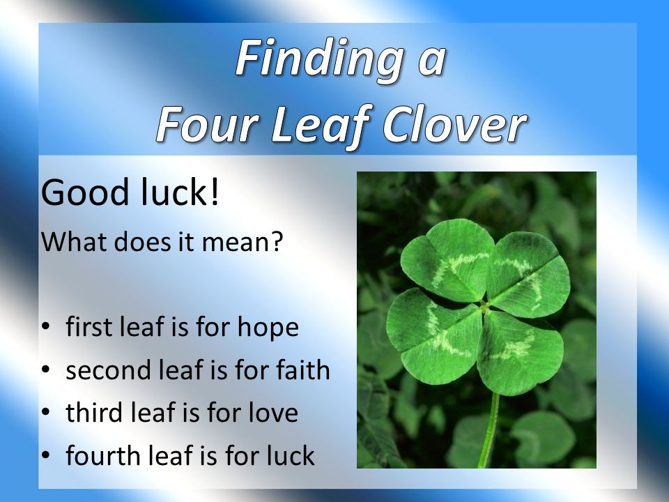 Things That Bring Good Luck things that people think will bring good or bad luck. - ppt download Things That Bring Good Luck things that people think will bring good or bad luck. - ppt download
