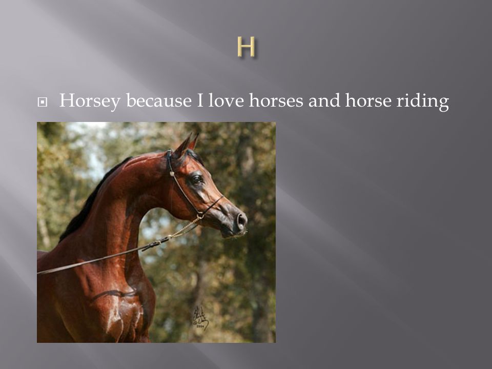  Horsey because I love horses and horse riding