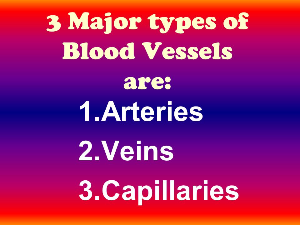 3 Major types of Blood Vessels are: 1.Arteries 2.Veins 3.Capillaries