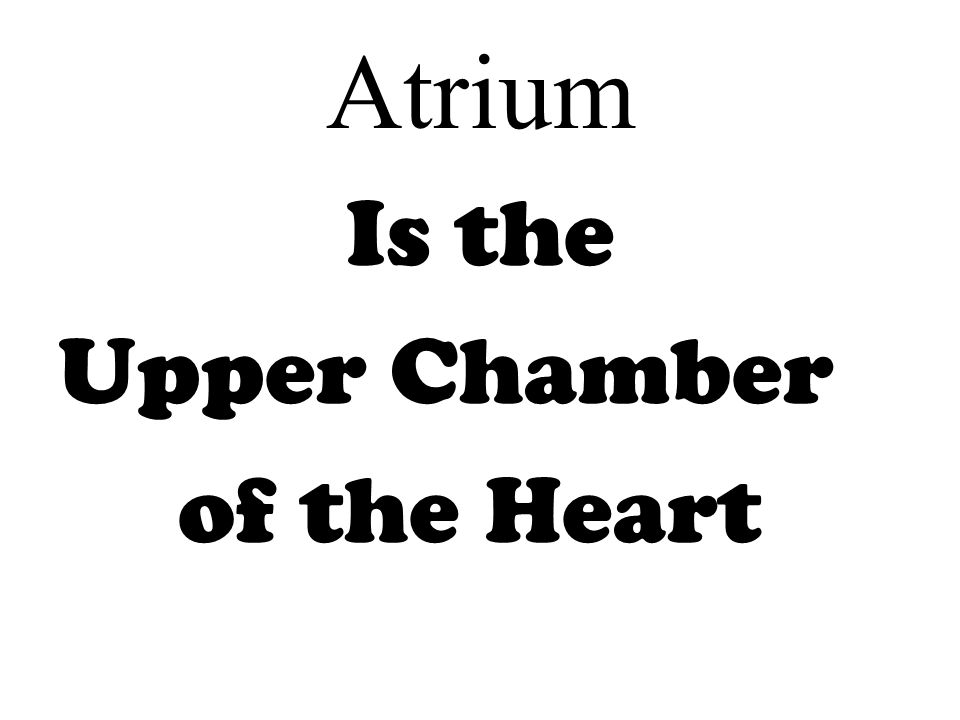 Atrium Is the Upper Chamber of the Heart