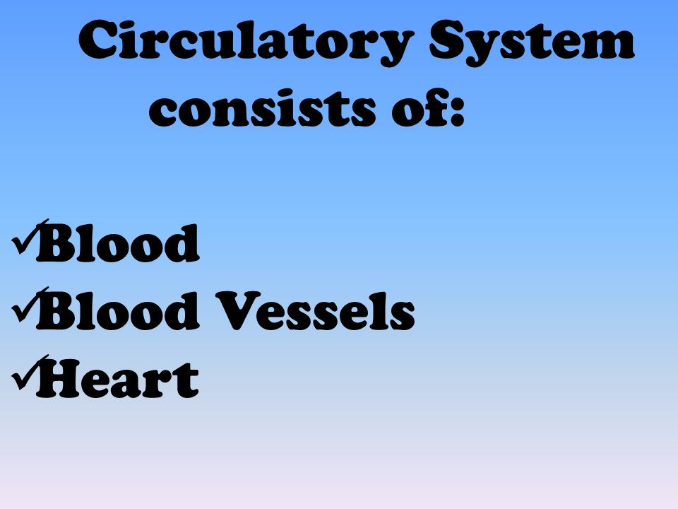 Circulatory System consists of: Blood Blood Vessels Heart