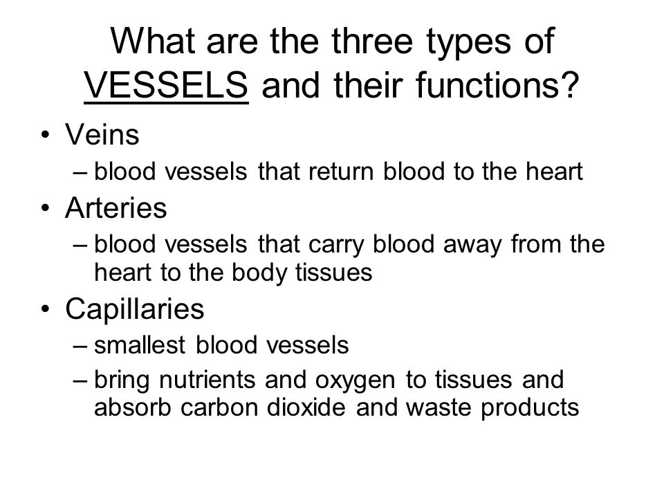 What are the three types of VESSELS and their functions.