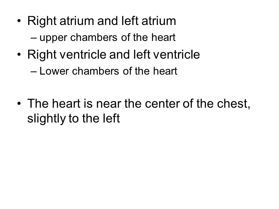 Right atrium and left atrium –upper chambers of the heart Right ventricle and left ventricle –Lower chambers of the heart The heart is near the center of the chest, slightly to the left