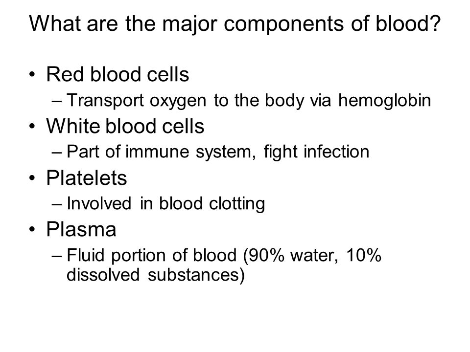 What are the major components of blood.