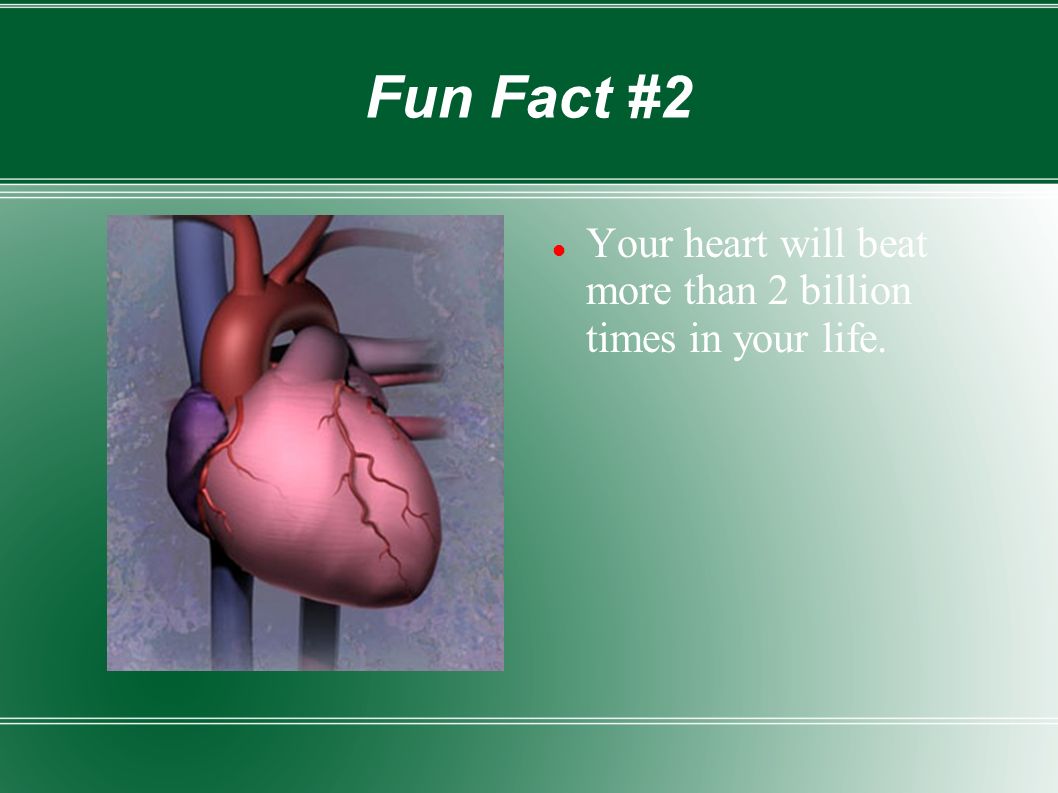 Fun Fact #2 Your heart will beat more than 2 billion times in your life.