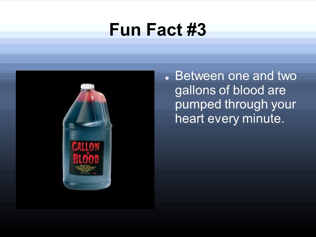 Fun Fact #3 Between one and two gallons of blood are pumped through your heart every minute.