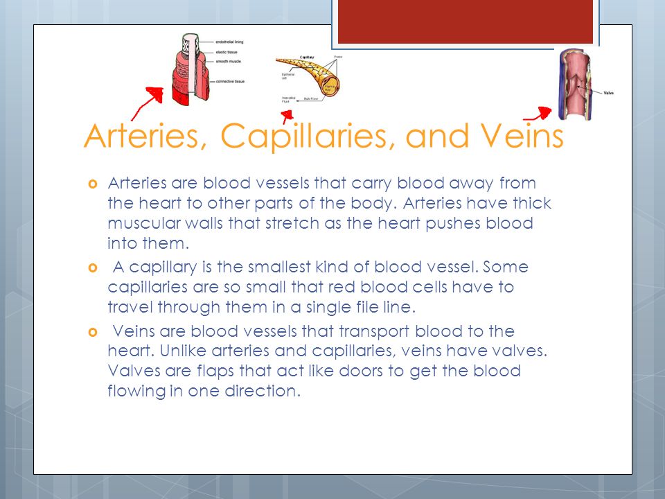 Arteries, Capillaries, and Veins  Arteries are blood vessels that carry blood away from the heart to other parts of the body.