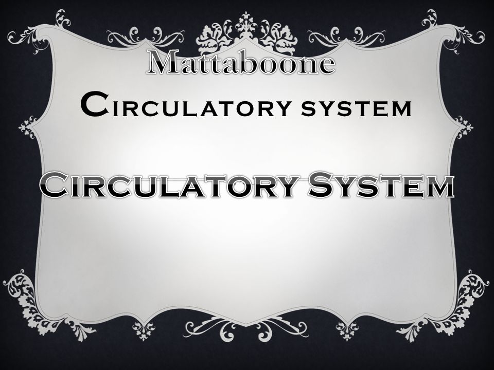 C IRCULATORY SYSTEM