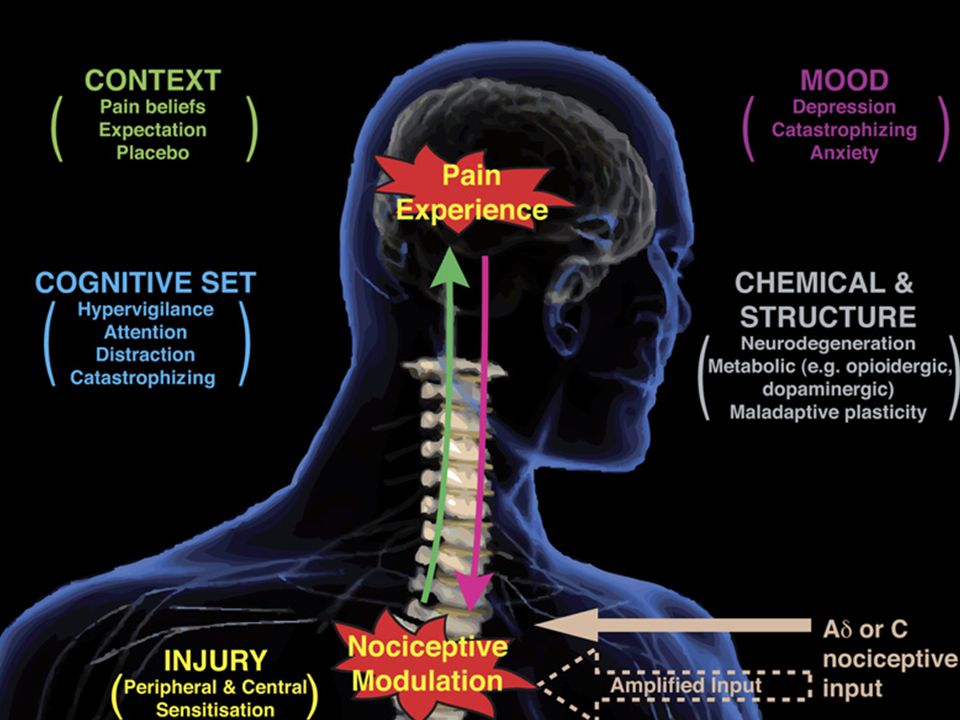 functional mri