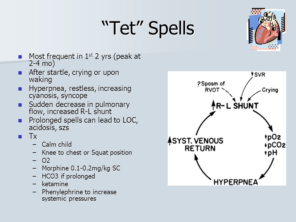 tet spell