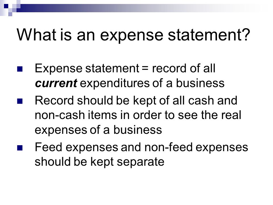 what is an expense statement
