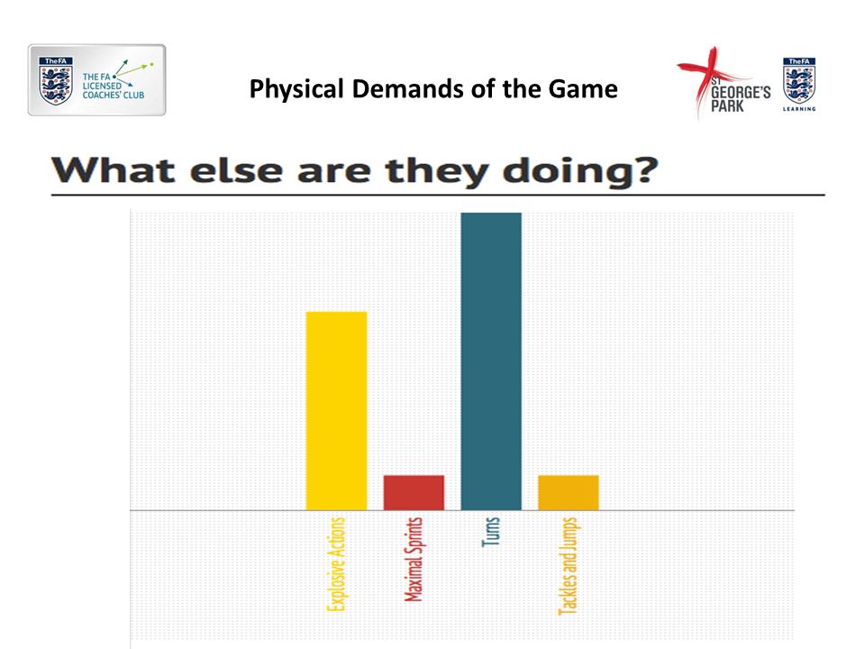 Physical Demands of the Game