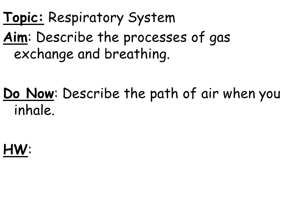 Topic: Respiratory System Aim: Describe the processes of gas exchange and breathing.