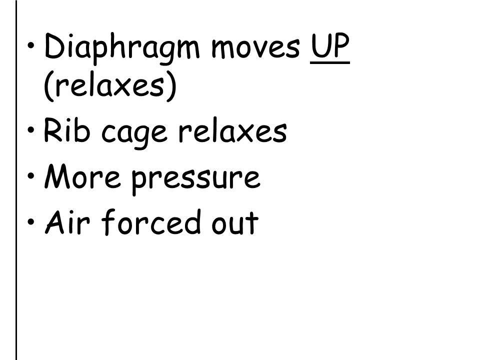Diaphragm moves UP (relaxes) Rib cage relaxes More pressure Air forced out