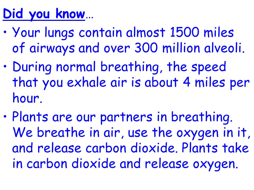 Did you know… Your lungs contain almost 1500 miles of airways and over 300 million alveoli.