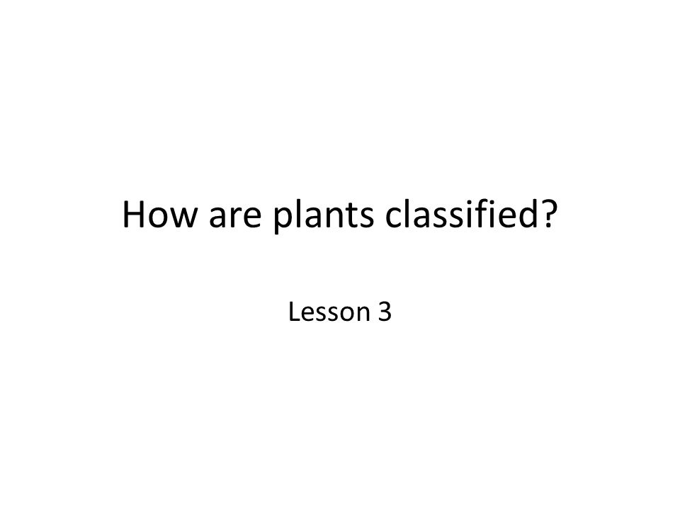 How are plants classified Lesson 3