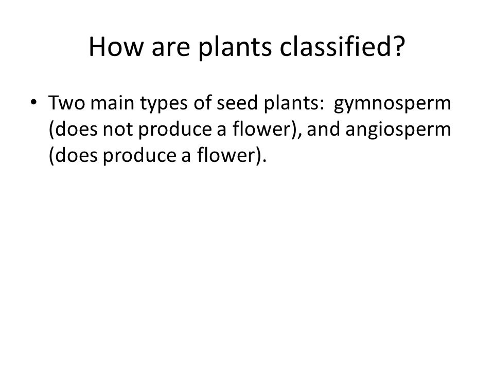 How are plants classified.