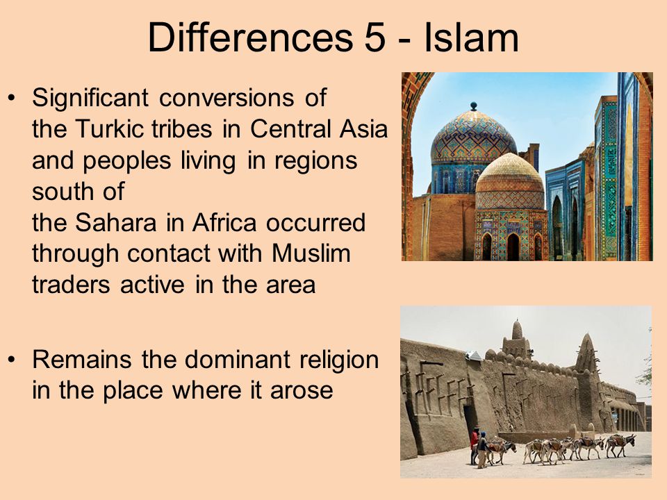 Essay comparing world religions
