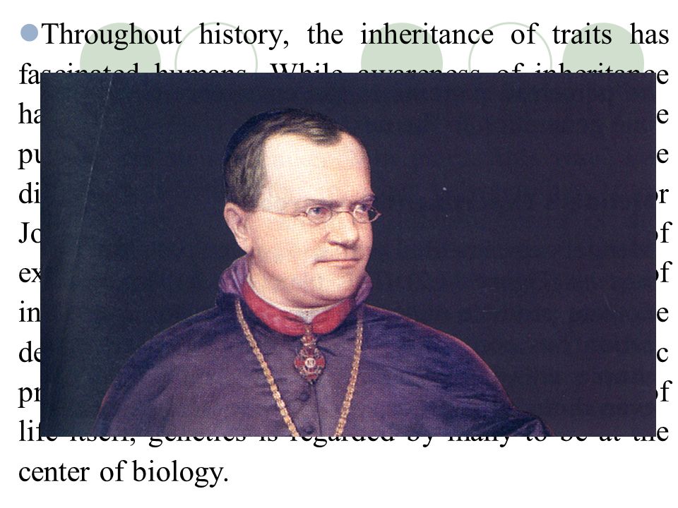 throughout history, the inheritance of traits has fascinated