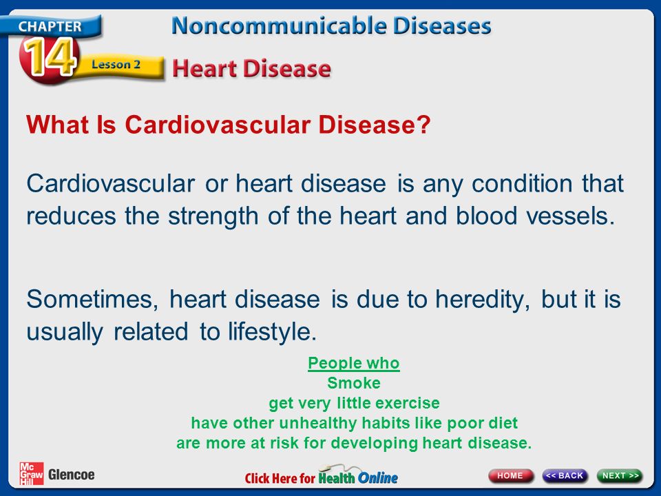 What Is Cardiovascular Disease.
