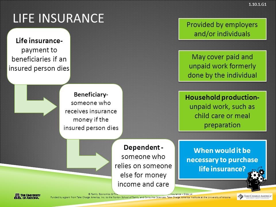 © Family Economics & Financial Education – Updated May 2012 – Types of Insurance – Slide 14 Funded by a grant from Take Charge America, Inc.