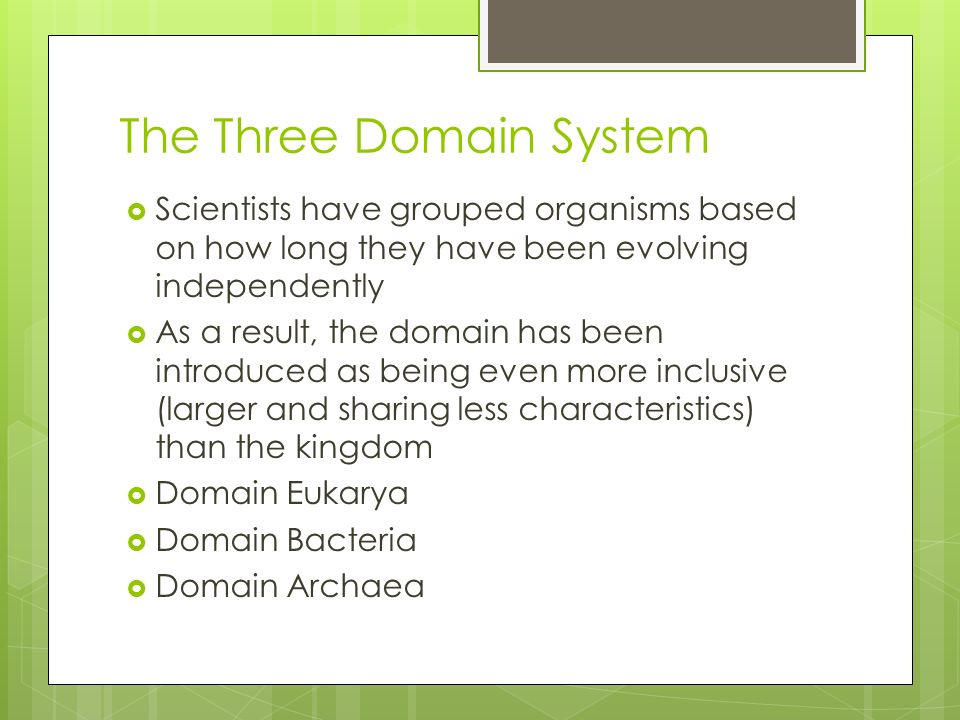 the three domains of development are the three domains of development are