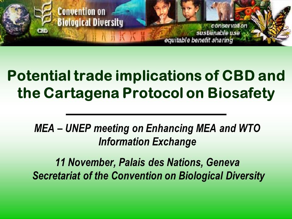 Potential trade implications of CBD and the Cartagena Protocol on Biosafety MEA – UNEP meeting on Enhancing MEA and WTO Information Exchange 11 November, Palais des Nations, Geneva Secretariat of the Convention on Biological Diversity