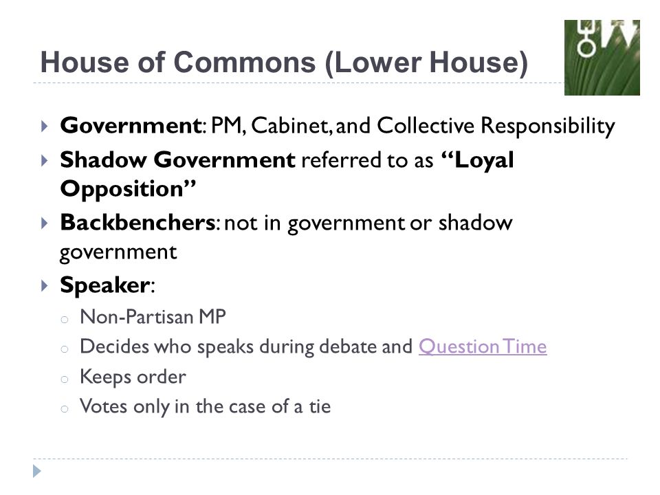 House of Commons (Lower House)  Government: PM, Cabinet, and Collective Responsibility  Shadow Government referred to as Loyal Opposition  Backbenchers: not in government or shadow government  Speaker: o Non-Partisan MP o Decides who speaks during debate and Question TimeQuestion Time o Keeps order o Votes only in the case of a tie
