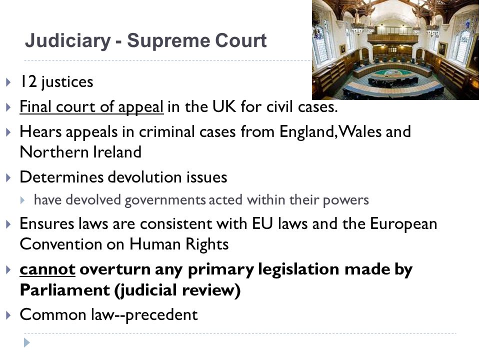 Judiciary - Supreme Court  12 justices  Final court of appeal in the UK for civil cases.