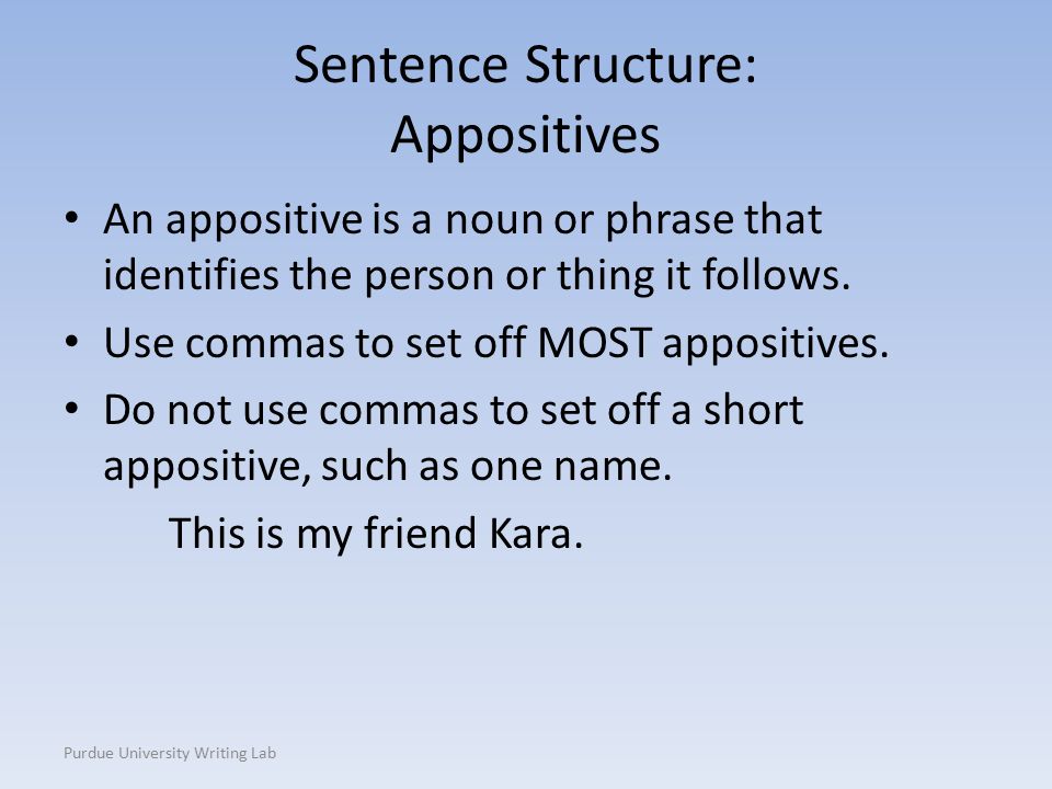 Sentence Structure: Appositives An appositive is a noun or phrase that identifies the person or thing it follows.