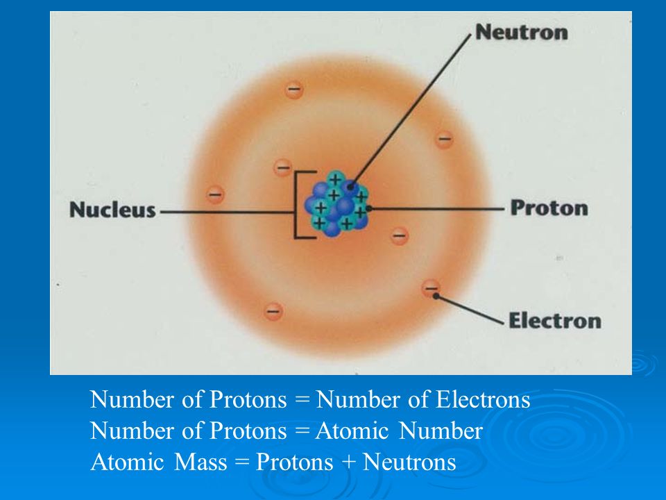 Number of Protons = Number of Electrons Number of Protons = Atomic Number Atomic Mass = Protons + Neutrons
